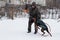 , a man plays with a Doberman in the winter, editorial