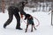 a man plays with a Doberman in the winter, editorial