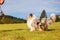 Man plays frisbee with a dog