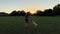 Man Plays with His Dog Outdoors on a evening. Funny Jack Russell Dog Hops and Bites Wooden Stick His Owner Holds.