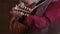 a man plays the lute. ancient stringed musical instrument