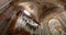 A man plays an old beautiful organ in Rome, Italy. The interior of the old roman church