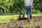 A man plowing garden soil by motor cultivator