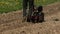 Man plowing land by agricultural cultivator