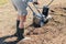 A man plows the ground in the garden with an electric cultivator