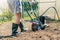 A man plows the ground in the garden with an electric cultivator