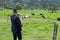 Man pointing or showing towards cattle meadow where there are cows and mountains.