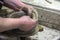 Man potter at work creating some traditional cups of white clay, Lassithi, Crete, Greece.