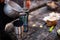 Man pour boiled water to hot mugs on wooden table during breakfast at the forest camp. People on picnic camping at