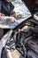 Man pouring antifreeze into special fluid tank