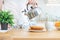 Man pouring boiling water from kettle into a cup with instant coffee. Morning coffee or making breakfast in the kitchen