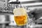 A man pouring draft lager beer into a dimpled glass mug  in a modern pub. Overflowing glass. Black and white background