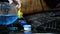 A man pours anti-freeze cleaning fluid for a car windshield. Close-up