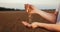 Man pours wheat from hand to hand on the background of wheat field