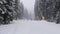 Man pov skiing on the snowy slope of Bukovel ski resort in the Ukrainian Carpathian mountains.