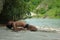 Man practices yoga by river