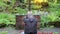 Man praying in outdoors church opposite the cross