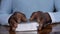 man praying to god with bible in hands caribbean man praying with background with people stock video stock footage