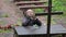 Man prays kneeling at the altar