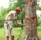 Man prepares a equipment fixes the carabiner on the rope tying for mountain climbing or slacklining in the park