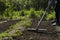 Man preparing the soil for sowing with the rake