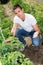 Man professional horticulturist working with tomatoes bushes in garden