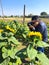 Man professional photographer takes photos of sunflowers in the middle of nature to record beautiful landscapes