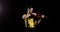 Man professional violinist plays violin on black background in dark, front view.