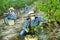 Man proffesional gardener in medical mask during harvesting of grape