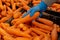 A man in protective blue gloves takes a carrot. Close-up, no face visible. Buying grocery food during a pandemic