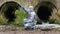 A man in protective clothing, looking at a tube of blue liquid, against the drainpipes