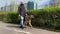 Man in a protective mask walks a dog on street in city. Leisure with a pet during quarantine. Walk with German shepherd