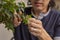 Man pruning bonsai in the spring taking care of nature