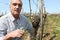 Man pruning grapevines