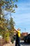 Man punching autumn leaves from the tree