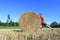 Man pushing hay bale