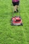 Man pushing lawnmower cutting grass in residential backyard