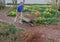 Man pushing wheelbarrow