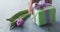 Man put green gift box on blue table with purple tulip on it