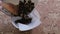 Man puts fried mince meat and bacon from a pan in a plate with a napkin.