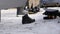 Man puts on shoes for snowboarding near the car on a mountain parking