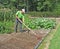 Man raking garden