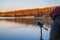 Man records the sounds of nature on a recorder on the lake