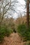 Man with red backpack hking in the forest