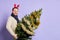 Man in red christmas horn holding Christmas tree