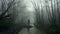 A man reflected in a forest stream. On a spooky foggy misty day. With a dark moody edit