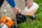 A man refuels a lawn mowers gasoline engine from a plastic tank