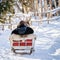 Man at reindeer sledge ride in winter Rovaniemi