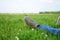 Man relaxing outdoor on the fresh grass