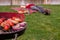 Man relaxing in the park and having barbecue lunch. Grill with various delicious barbecue outdoor, selective focus